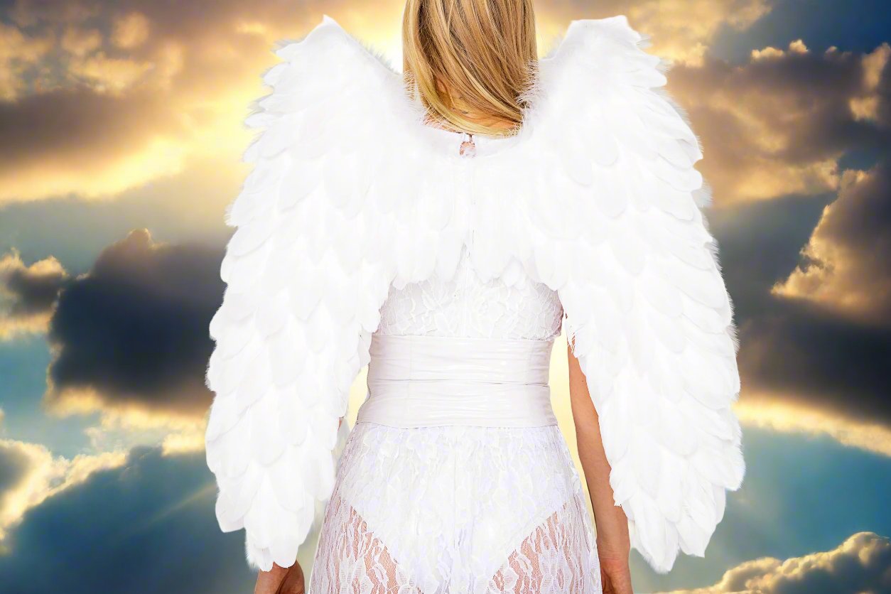 Heavenly Kiss Angel Costume by ROMA in Size S, M, or L