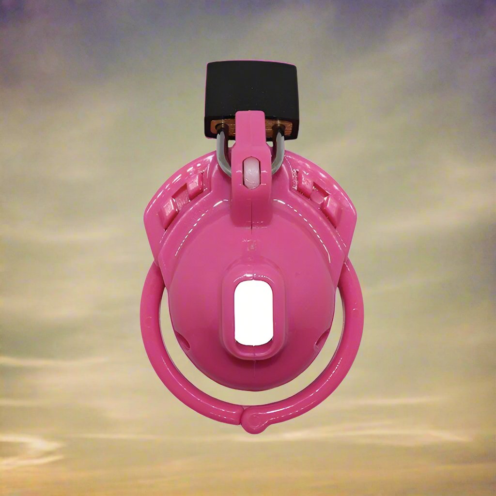 Locked In Lust The Pink Vice Clitty