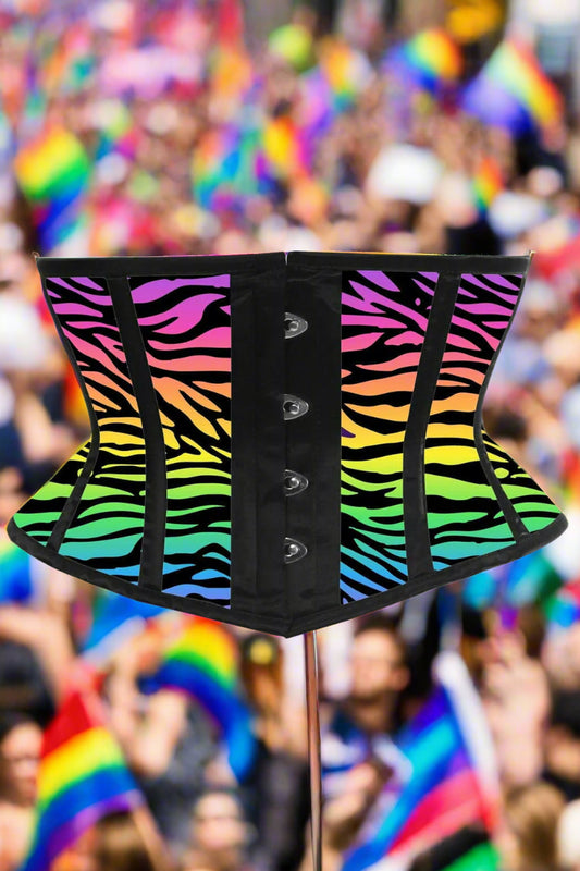 Rainbow Animal Print Satin Mini Cincher Corset