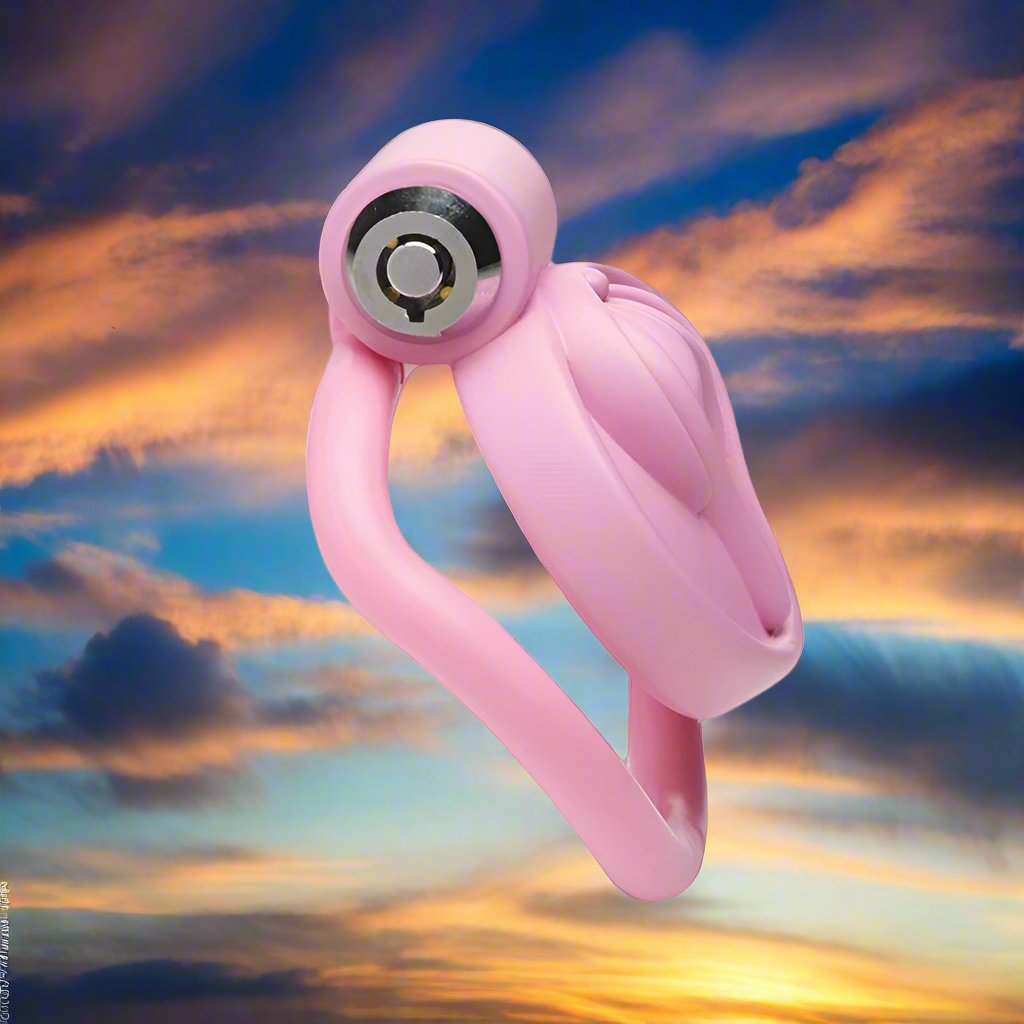 Master Series Pussification Vulva Locking Chastity Cage