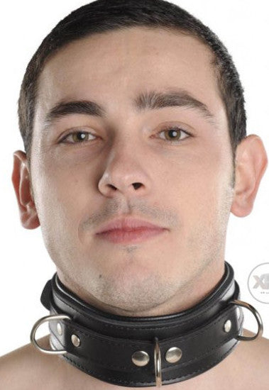 Strict Leather Premium Locking Collar