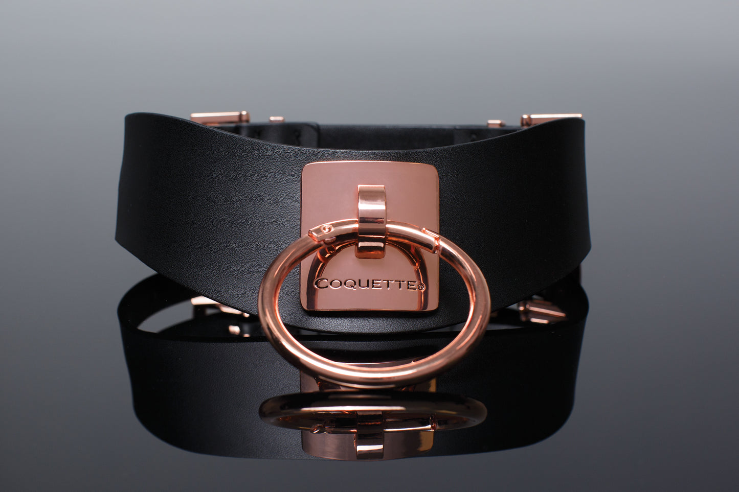 Coquette Faux Leather Collar