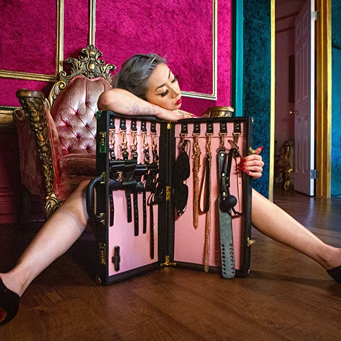 Blush Temptasia Safe Word Bondage Kit with Suitcase