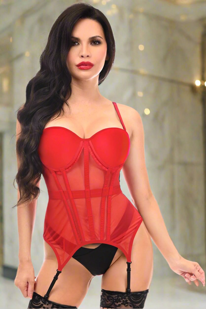 Lavish Mesh Underwire Bustier with Garters