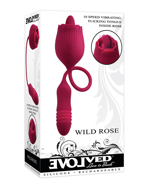 Evolved Wild Red Rose