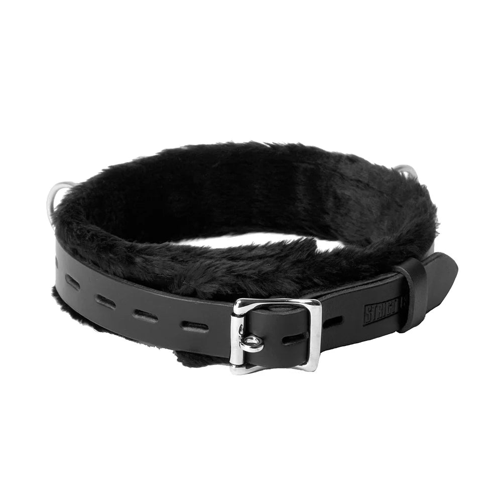Strict Leather Narrow Fur Lined Locking Collar