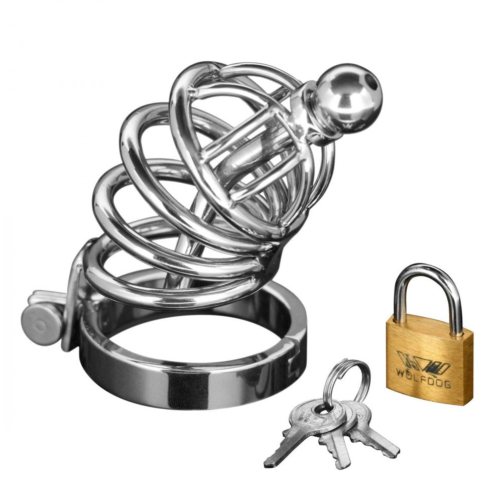 Asylum 4 Ring Locking Chastity Cage by Master Series