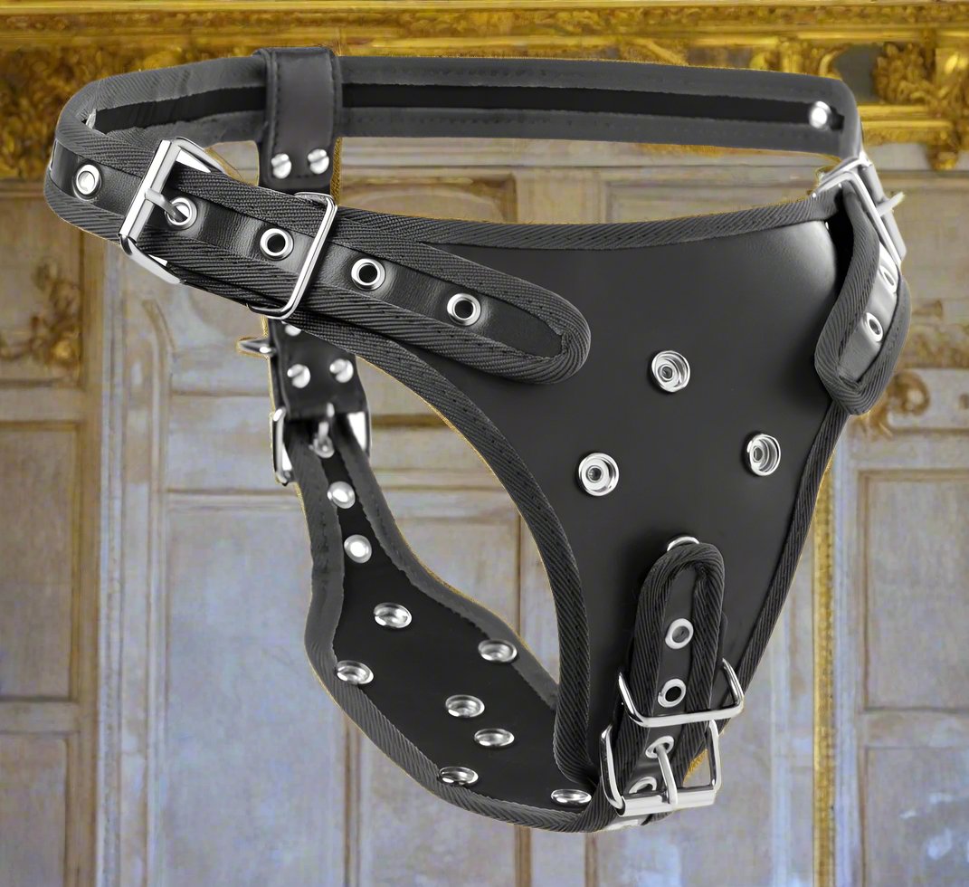 Double Penetration Strap On Harness