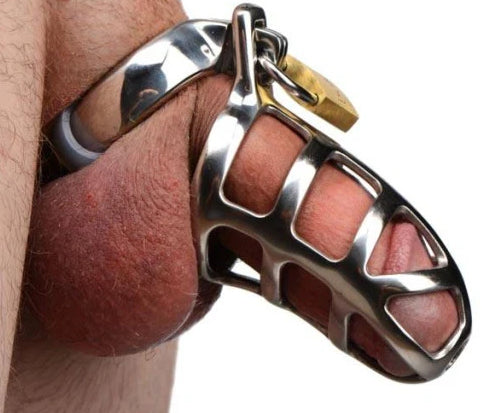 Stainless Steel Cock Cage